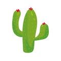 cactus dry plant Royalty Free Stock Photo