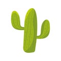 cactus dry plant Royalty Free Stock Photo