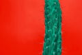 Cactus Fashion Set Design. Minimal Stillife. Trendy Bright Colors. Royalty Free Stock Photo