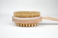 Cactus fiber brush isolated on white. Spa beauty concept. Massage brush for the body.