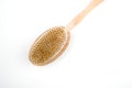 Cactus fiber brush isolated on white. Spa beauty concept. Massage brush for the body.