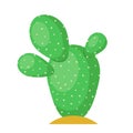 Cactus flat illustration on white background Royalty Free Stock Photo