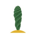 Cactus flat illustration on white background