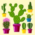 Cactus flat style nature desert flower green cartoon drawing graphic mexican succulent and tropical plant garden art Royalty Free Stock Photo