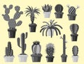 Cactus flat style nature desert flower monochrome cartoon drawing graphic mexican succulent and tropical plant garden