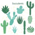 Cactus flower. Bright cacti, aloe leaves, exotic cactuses plants succulent summer desert tropical flora cartoon, botanical vector