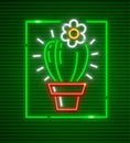 Cactus with flower in flowerpot pot. Neon
