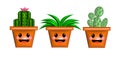 cactus in flower pot illustration isometric cartoon Royalty Free Stock Photo