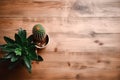 Cactus in flower pot top view on wooden table with copy space for background. Royalty Free Stock Photo