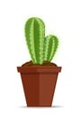 cactus in a flower pot vector icon