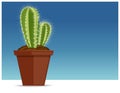 cactus in a flower pot vector icon