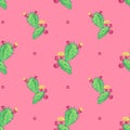 Cactus flower, seamless pattern.