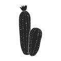 Cactus of flower vector icon.Black vector icon isolated on white background cactus of flower Royalty Free Stock Photo