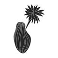 Cactus of flower vector icon.Black vector icon isolated on white background cactus of flower. Royalty Free Stock Photo