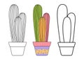 Cactus in flowerpot doodle cartoon set home plants mexican desert contour sketch linear cacti vector