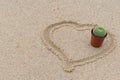 Cactus in flowerpot have heart shaped on sand background