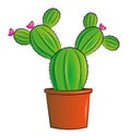 Cactus with flowers