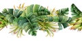 Cactus flowers and tropical palm leaves seamless border hand drawn illustration banner. Realistic botanical drawing Royalty Free Stock Photo