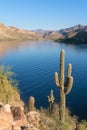 Cactus in front of a blue lake on historic Apache trail Royalty Free Stock Photo