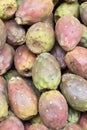 Cactus fruits ( called also as Opuntia ficus-indica, Indian fig opuntia, Barbary fig, prickly pear ) or tuna. Royalty Free Stock Photo