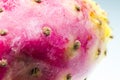 Cactus fruits - colors and textures