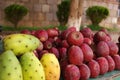 Cactus fruits on display in Zacatecas