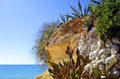 Cactus garden on Armacao De Pera Beach Royalty Free Stock Photo
