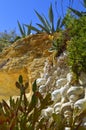 Cactus garden on Armacao De Pera Beach Royalty Free Stock Photo