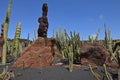 Cactus garden in Guatiza on Lanzarote Royalty Free Stock Photo