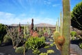 Cactus Garden in Lanzarote, Canary Islands, Spain