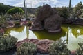 Cactus Garden Lanzarote