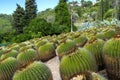 Cactus garden in the Lloret de mar, Costa Brava, Catalonia, Spain