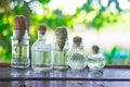 Cactus in glass bottle Royalty Free Stock Photo