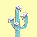 Cactus with Graduate black hats. Vector illustration of Graduation caps, square academic cap, mortarboard for college