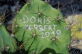 Cactus, graffiti, plant, craved, Royalty Free Stock Photo