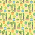 Cactus green plant cactaceous home nature cacti vector illustration of tree with flower seamless pattern background