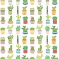 Cactus green plant cactaceous home nature cacti vector illustration of tree with flower seamless pattern background Royalty Free Stock Photo