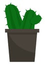 Cactus, Green Plant in Pot with Thorns, Houseplant