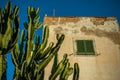 Cactus Growing in Front of a Rustic Traditional Spanish Style House With Shutters Royalty Free Stock Photo
