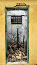 Cactus growing in weathered Caribbean abandoned building Royalty Free Stock Photo