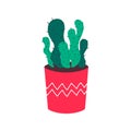 Cactus grows in a pot.Decorative indoor plant with green leaves in a pot.Prickly cartoon cactus.Flat vector illustration