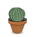 Cactus grows in a pot. vector illustration.