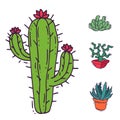 Cactus home nature vector illustration of green plant cactaceous tree with flower