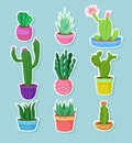 Cactus home plants in pots with flowers set, variety of decorative cacti stickers vector Illustrations