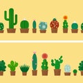 Cactus horizontal background