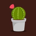 Cactus houseplant in flower pot. Cactus icon in a flat style on a brown background. Succulent plant.