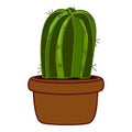 Cactus houseplant icon cartoon vector. Office window garden Royalty Free Stock Photo