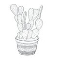 Cactus houseplant Illustration. Opuntia Vector line art. Adult coloring book page.