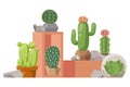 Cactus houseplant, vector illustration. Collection of decorative cacti in flowerpots. Exotic plants shop presentation