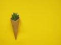 Cactus ice cream top view yellow background. Royalty Free Stock Photo